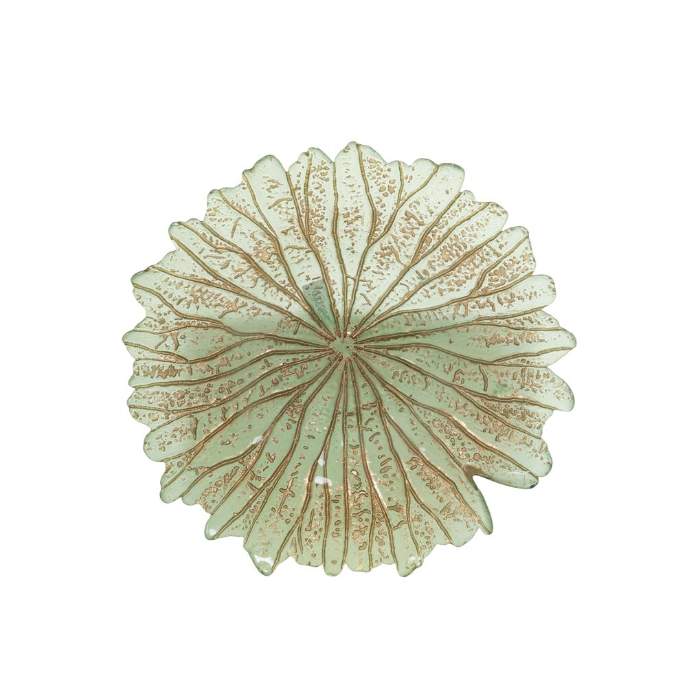 Coupe Euca 33 cm