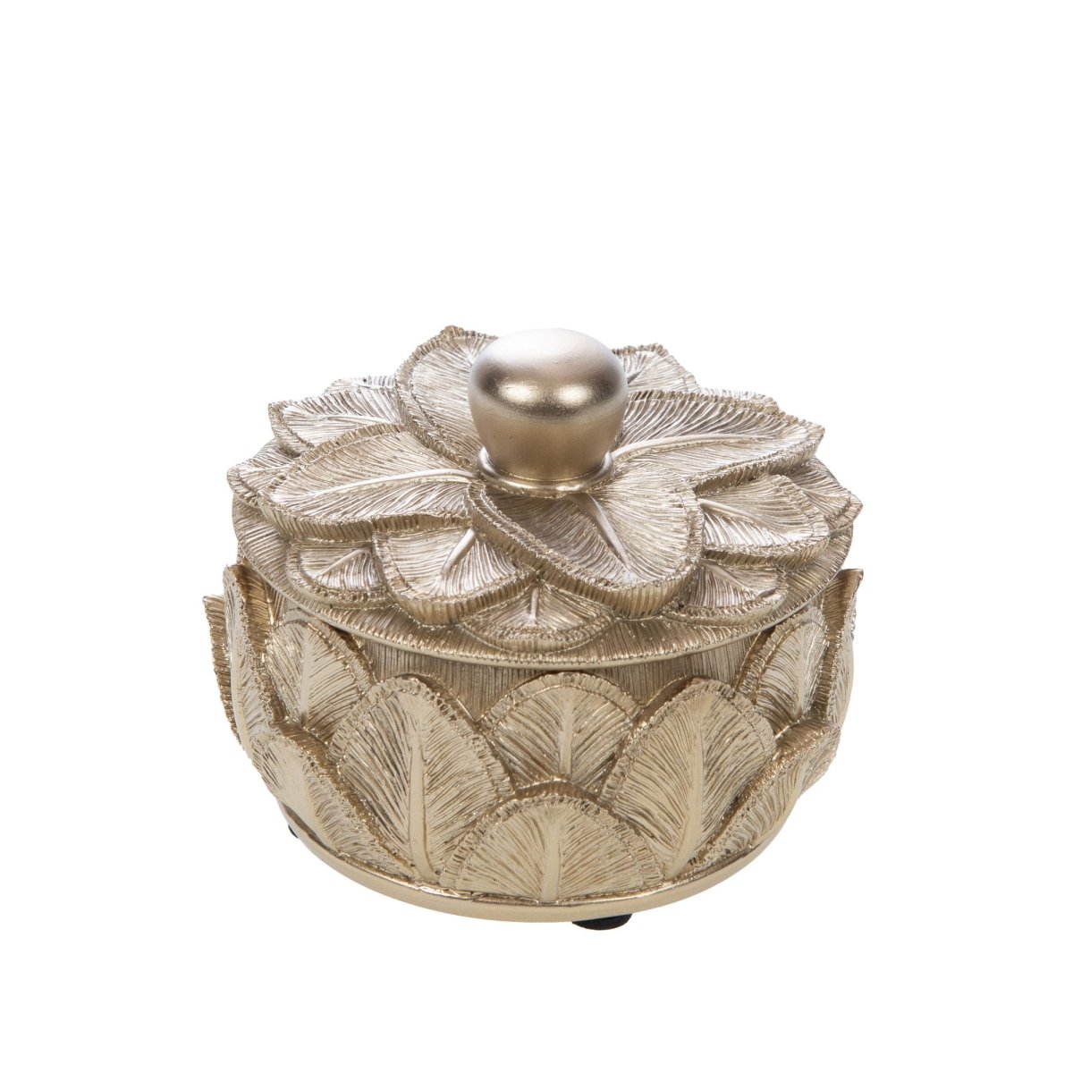 BOITE LEON - Beautiful Moment the shop