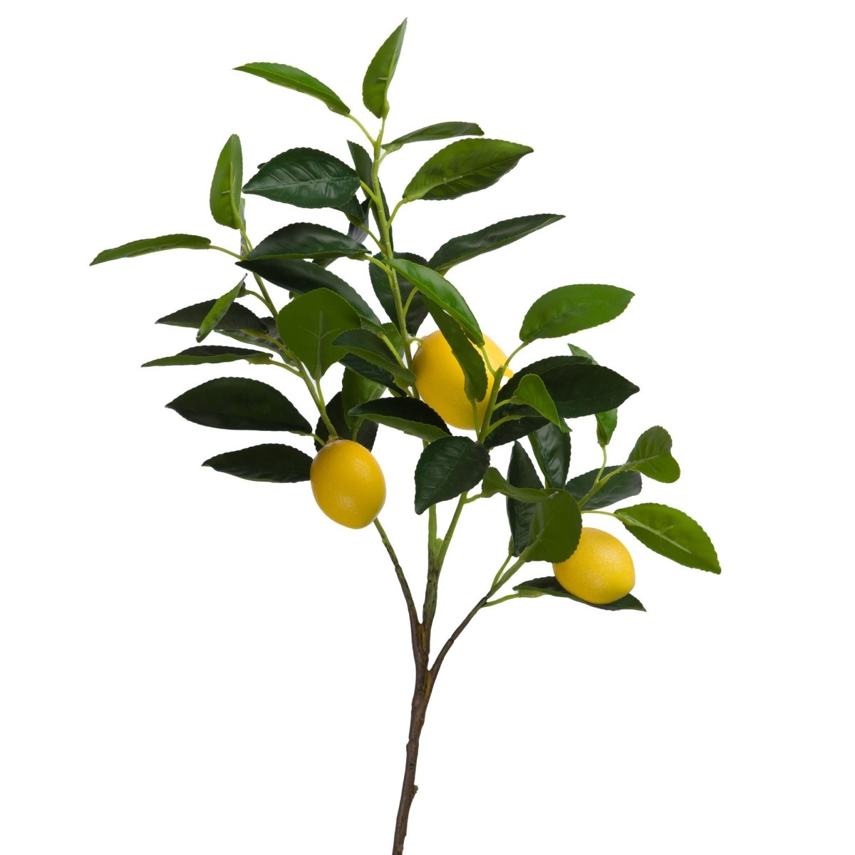 Branche citron eureka h75cm - Beautiful Moment the shop