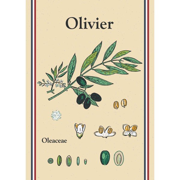 Collection PROVENCE - Beautiful Moment the shop