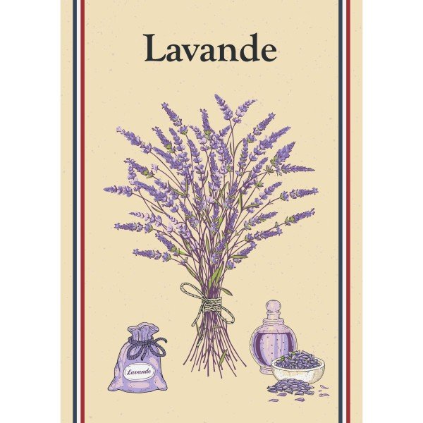 Collection PROVENCE - Beautiful Moment the shop