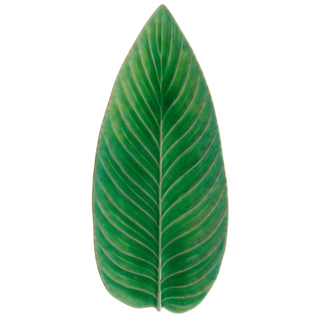 Feuille de Strelitzia 40 Riviera - Beautiful Moment the shop
