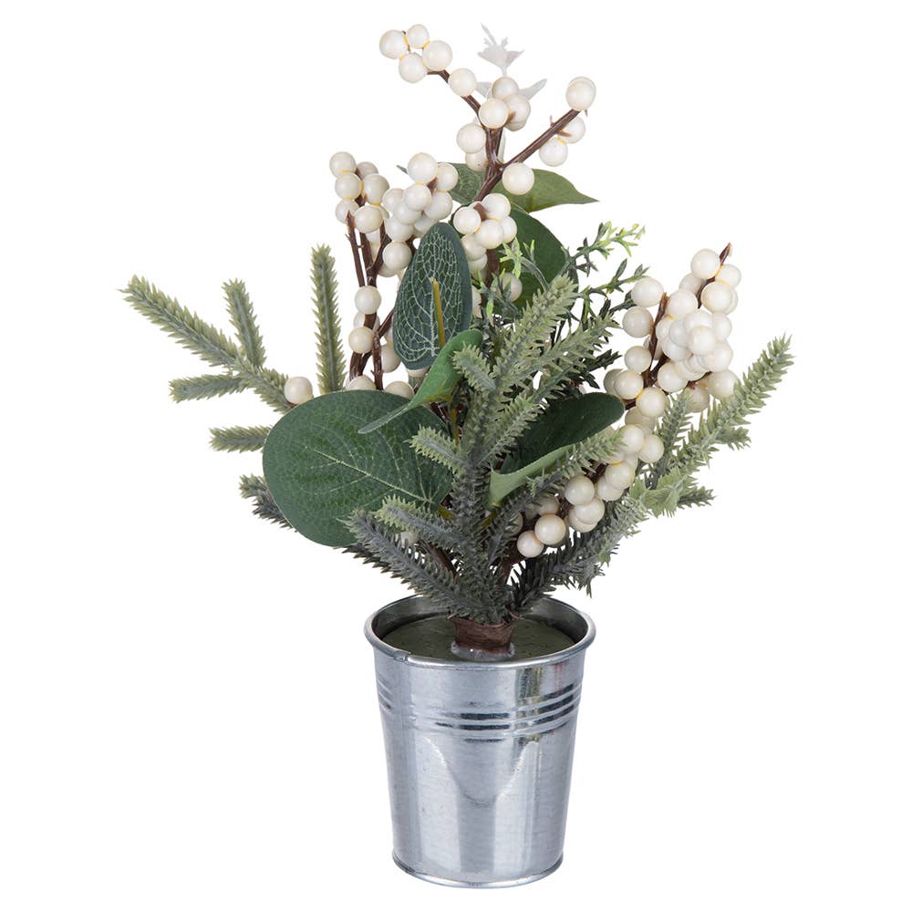 PLANTE DE NOËL BLANCHE 4 ASS D6CM - Beautiful Moment the shop