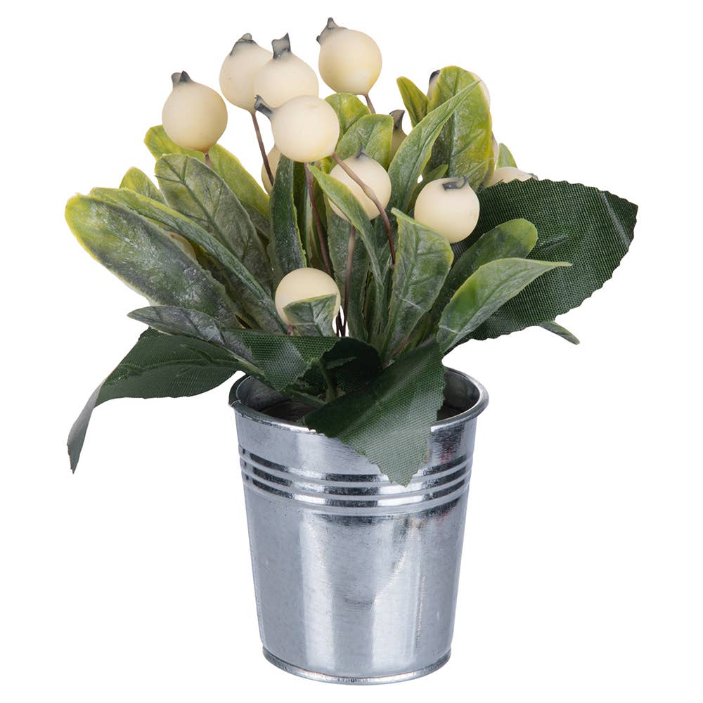 PLANTE DE NOËL BLANCHE 4 ASS D6CM - Beautiful Moment the shop