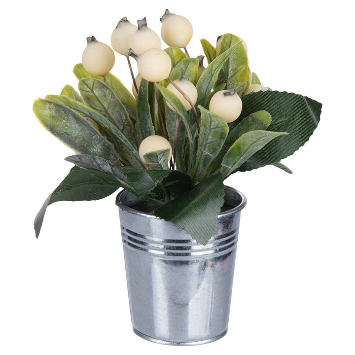 PLANTE DE NOËL BLANCHE 4 ASS D6CM - Beautiful Moment the shop