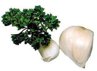 Presse - Ail avec Manche Antiglisse - Beautiful Moment the shop