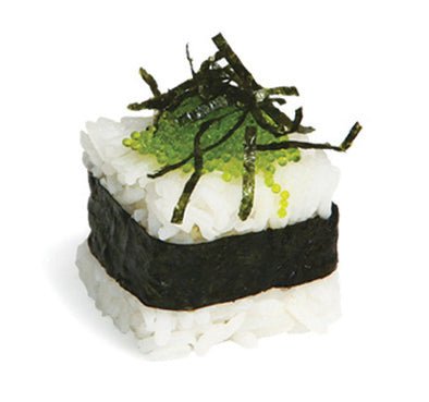 RICE CUBE MOULE à SUSHIS ET BOUCHEES - Beautiful Moment the shop