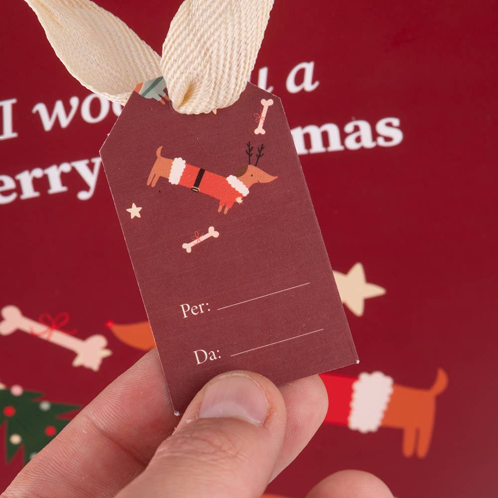 SAC CADEAU NATALOTTO 23X15X39CM - Beautiful Moment the shop