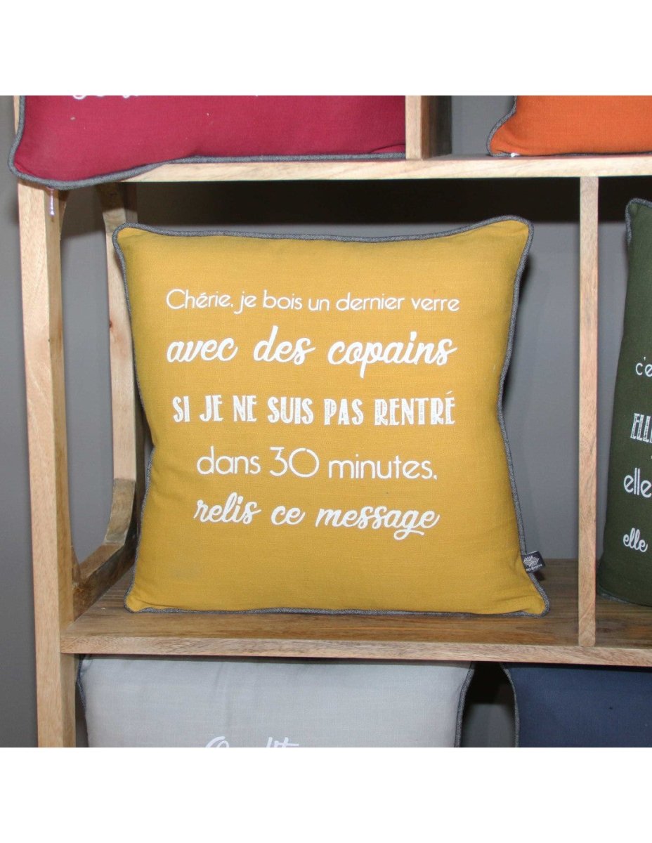 COUSSIN 45X45 CM AMOUR 2023 - Beautiful Moment the shop