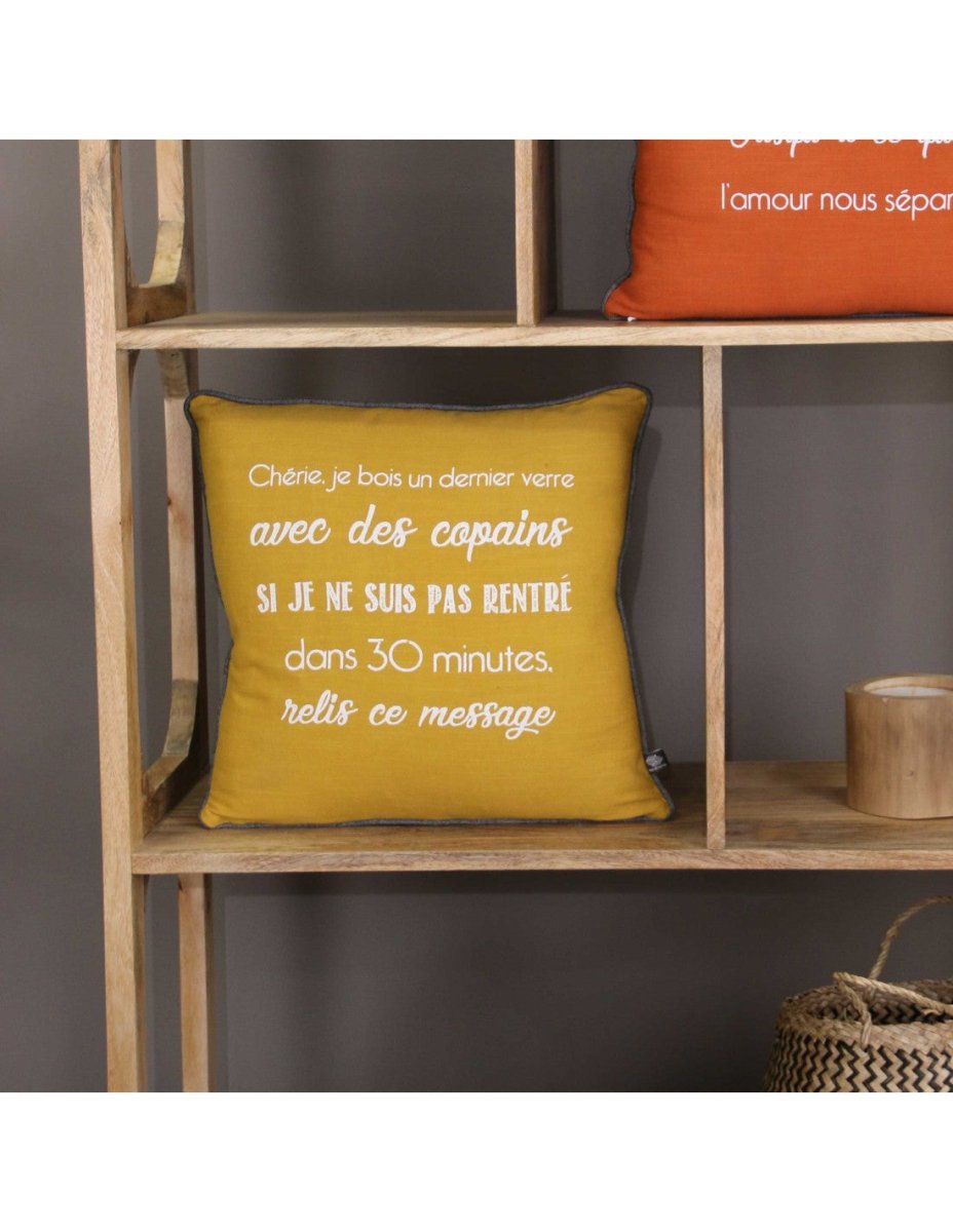 COUSSIN 45X45 CM AMOUR 2023 - Beautiful Moment the shop