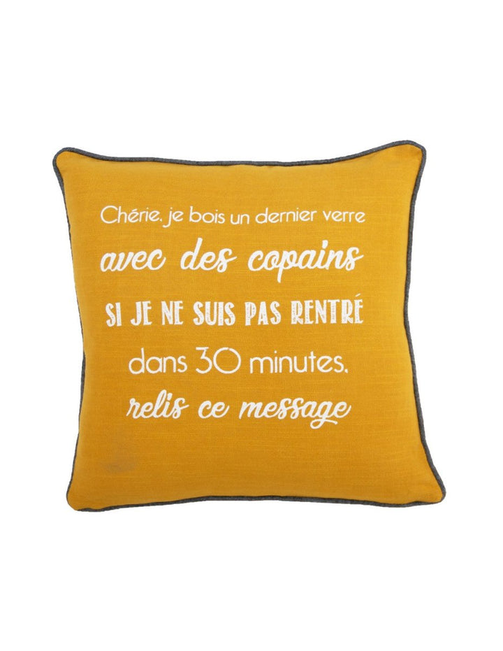 COUSSIN 45X45 CM AMOUR 2023 - Beautiful Moment the shop